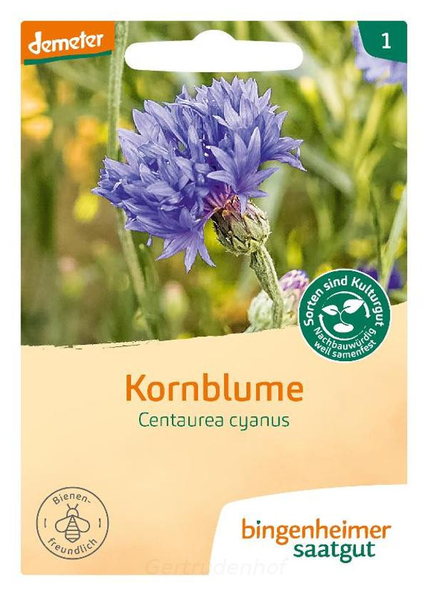 Produktfoto zu Kornblume blau (Saatgut)