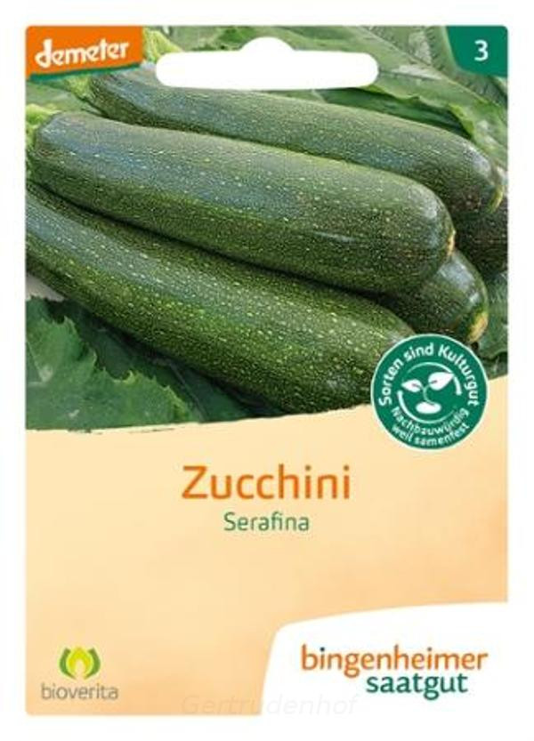 Produktfoto zu Zucchini (Saatgut)