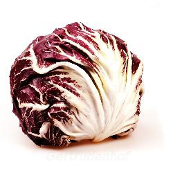 Produktfoto zu Radicchio (kg)