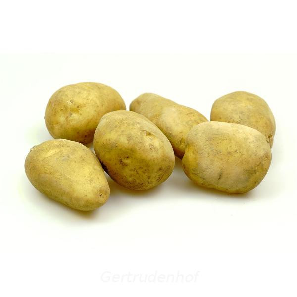 Produktfoto zu Kartoffeln, mehligk. 12,5 kg