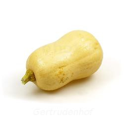 Produktfoto zu KürbisButternut ca.1,4-2kg_Stk