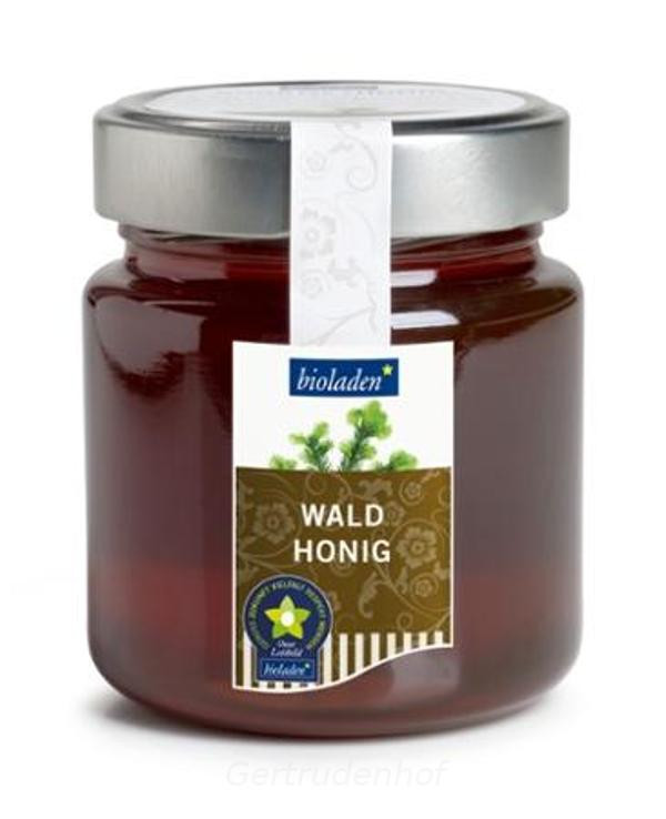 Produktfoto zu Waldhonig  500 g (WBI)