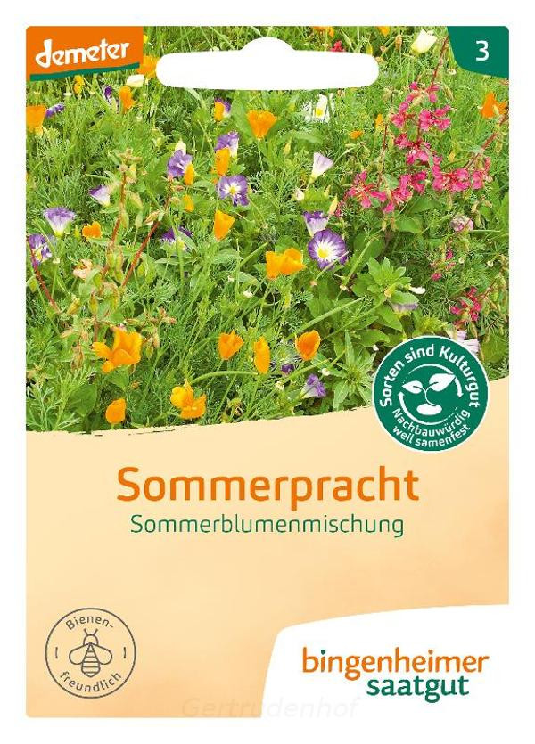 Produktfoto zu A-Sommerpracht (Saatgut)